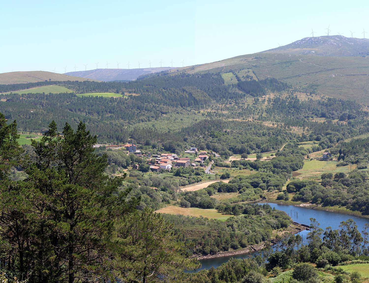 Galician Communal Woodlands